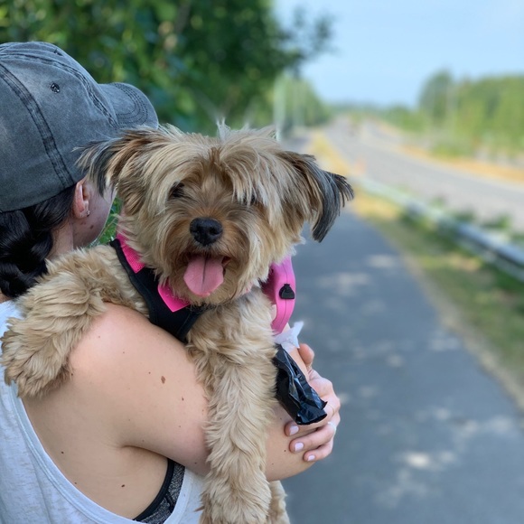 Pups - Picture 3 of 7